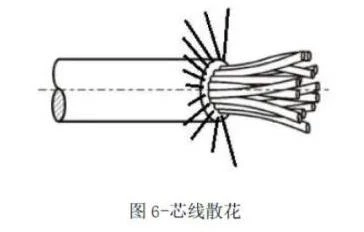 芯線散花.webp